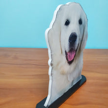 Load image into Gallery viewer, 4x6 PhotoStatuettes™, Acrylic Photo Cut Outs, Picture Sculptures, Photo Cutouts, Picture Statuettes