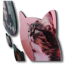 Load image into Gallery viewer, AcryliPics™ Cat Acrylic Prints Photo Tiles
