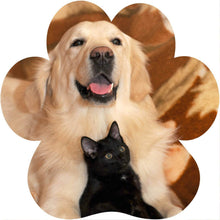 Load image into Gallery viewer, AcryliThins™ Paw Print Acrylic Prints - 1/8" Thin Stickable Photo Tiles
