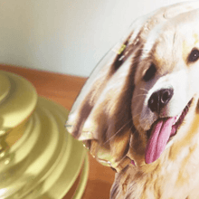 Load image into Gallery viewer, 4x6 PhotoStatuettes™, Acrylic Photo Cut Outs, Picture Sculptures, Photo Cutouts, Picture Statuettes