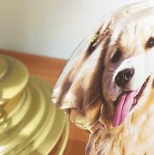 Load image into Gallery viewer, 5x7 PhotoStatuettes™, Acrylic Photo Cut Outs, Picture Sculptures, Photo Cutouts, Picture Statuettes