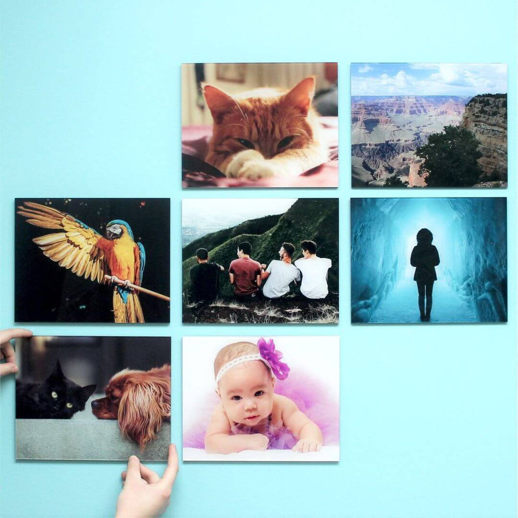 8x10 AcryliPics™ Photo CutOuts, Stickable Photo Tiles, Acrylic Prints, Stick & Re-Stick